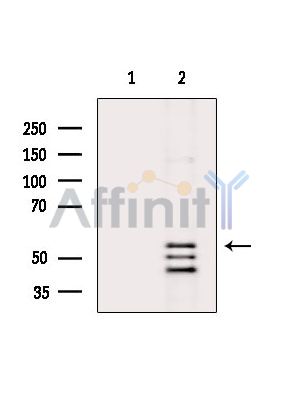 Валидация Affinity DF13865 - 9584