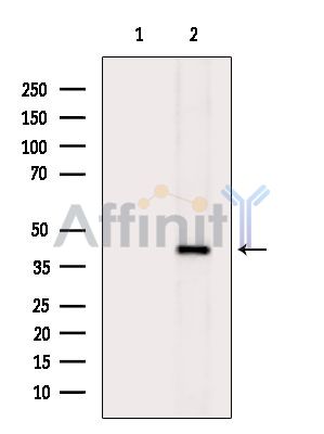 Валидация Affinity DF3714 - 14764