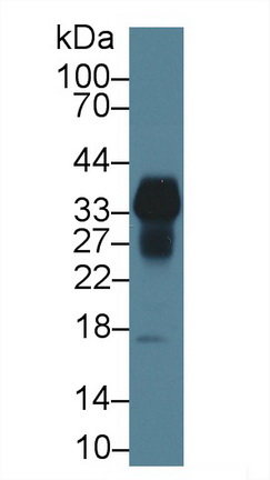 13600