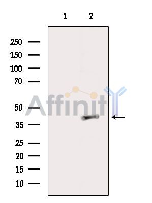 Валидация Affinity DF10207 - 5764