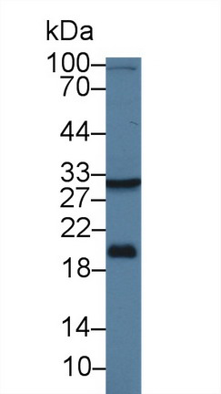 9605
