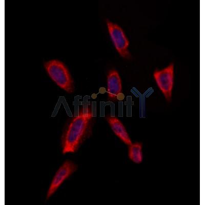 Валидация Affinity DF4396 - 15879