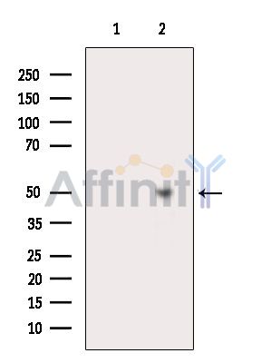 Валидация Affinity AF6558 - 3865
