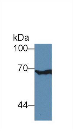 8399