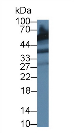 12791
