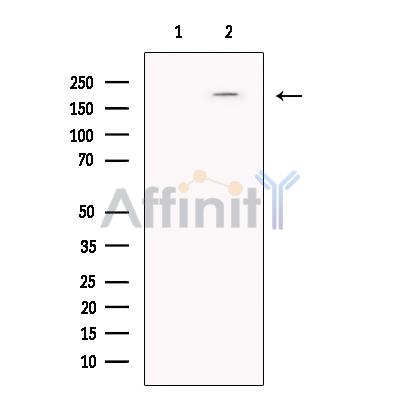 Валидация Affinity DF13732 - 9372