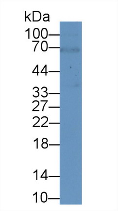 8940