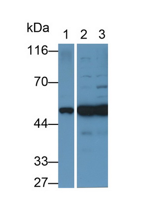 13149