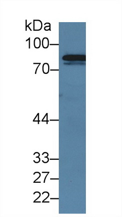 13980