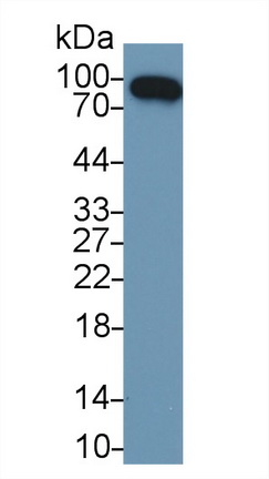 9639
