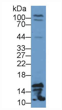 13390