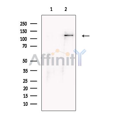 Валидация Affinity DF13716 - 9340