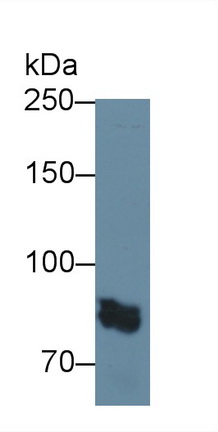 13192