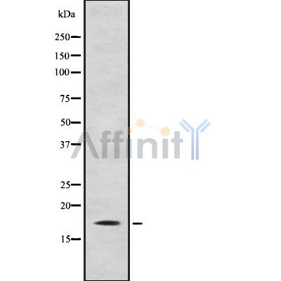 Валидация Affinity DF8114 - 19963