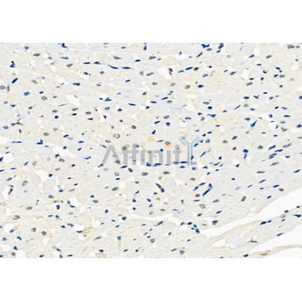 Валидация Affinity DF12301 - 6675
