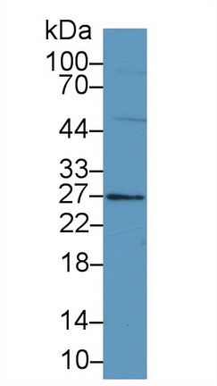 8802