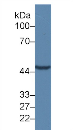 8813