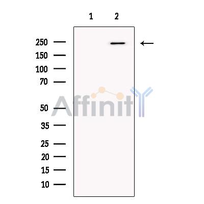 Валидация Affinity DF13680 - 9267