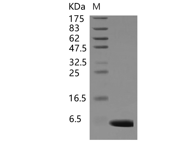 Валидация Elabscience PKSH031792(2425)