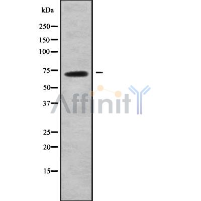 Валидация Affinity DF9252 - 21682