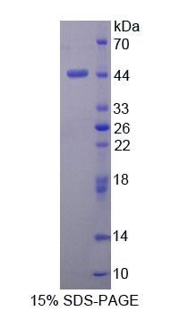 58670
