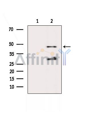 Валидация Affinity DF2729 - 13454