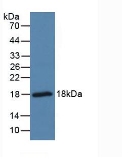 5693