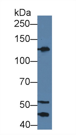 8574
