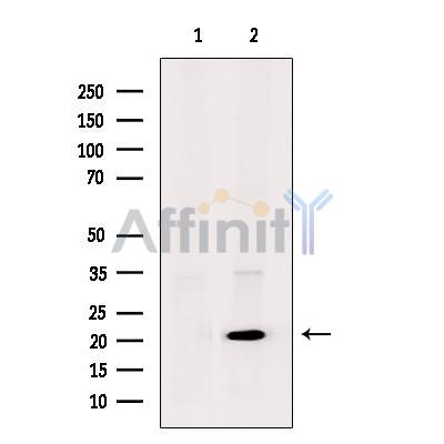Валидация Affinity DF4601 - 16216