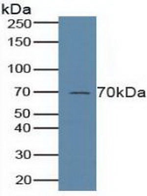 4902