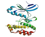Protein Kinase, AMP Activated Alpha 1 (PRKAa1)