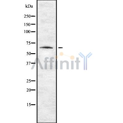 Валидация Affinity DF8407 - 20278