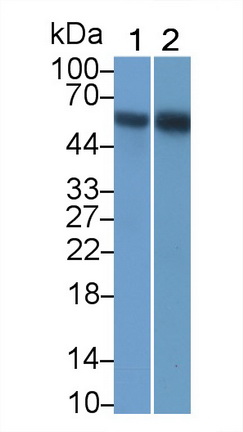 20765