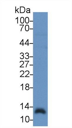 15253