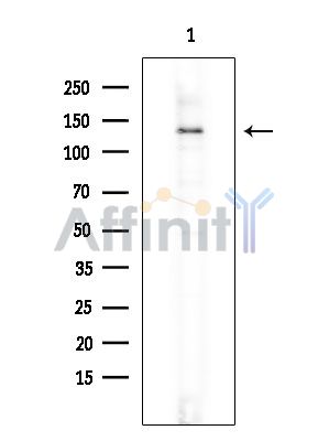 Валидация Affinity DF4358 - 15816