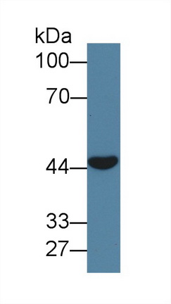 8819