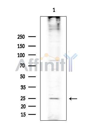 Валидация Affinity DF4390 - 15870