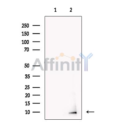 Валидация Affinity DF13349 - 8552