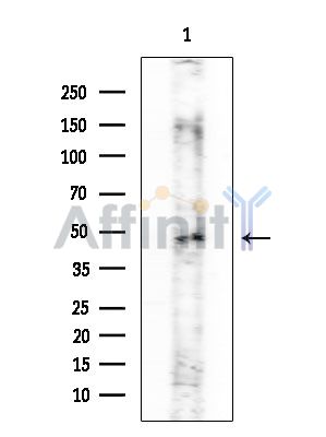Валидация Affinity DF4059 - 15327