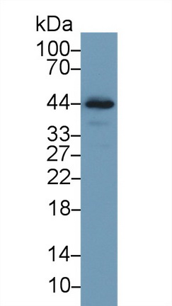 13741