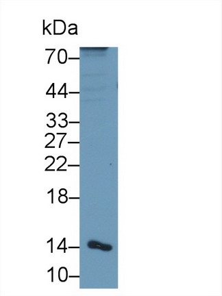 9653