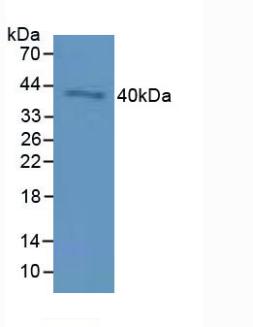 6221