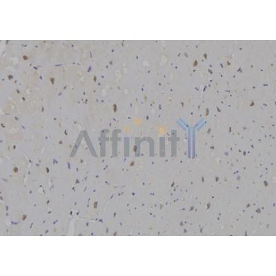 Валидация Affinity DF6906 - 18502