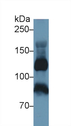 13221