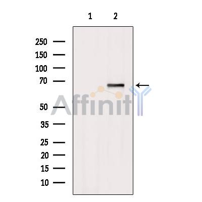 Валидация Affinity DF6760 - 18319