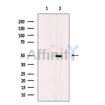 Валидация Affinity DF10353 - 5977