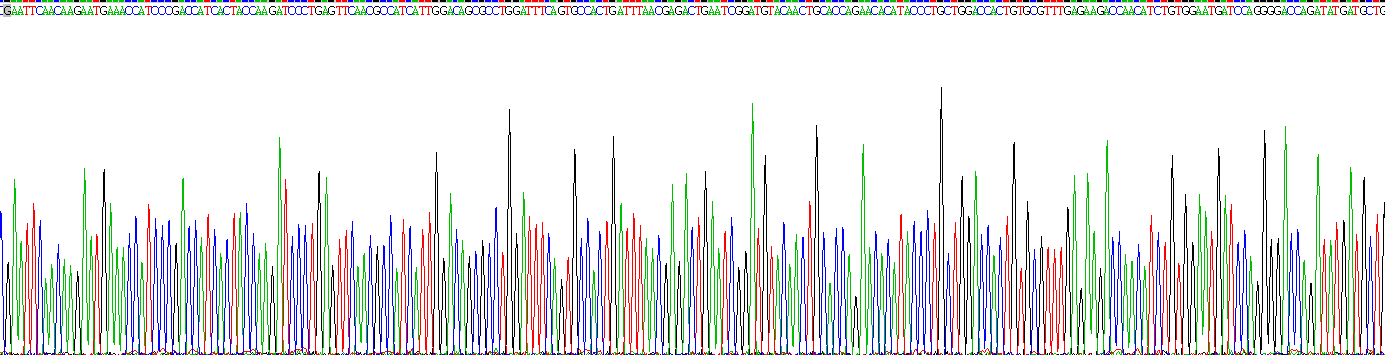 23742