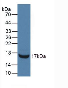61607