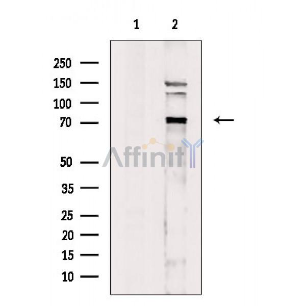 Валидация Affinity DF3195 - 14012