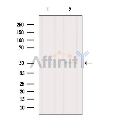 Валидация Affinity DF8931 - 21077
